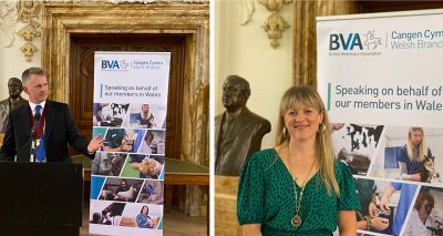 BVA Welsh Branch elects new president